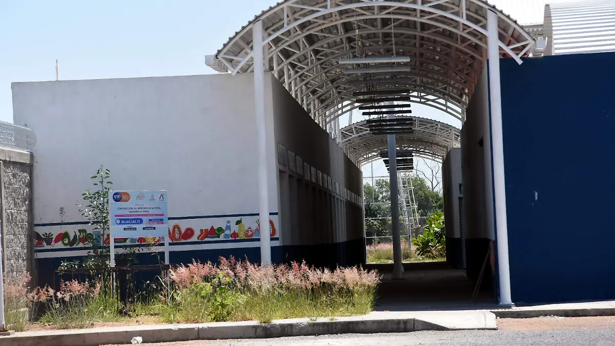 MERCADO DE LA FRESA-JESUS GTZ -EL SOL E IRAPUATO (1)