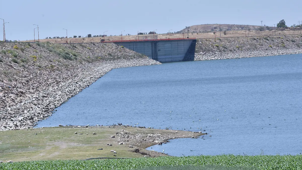 Urgen abundantes lluvias para recuperar nivel de presas.