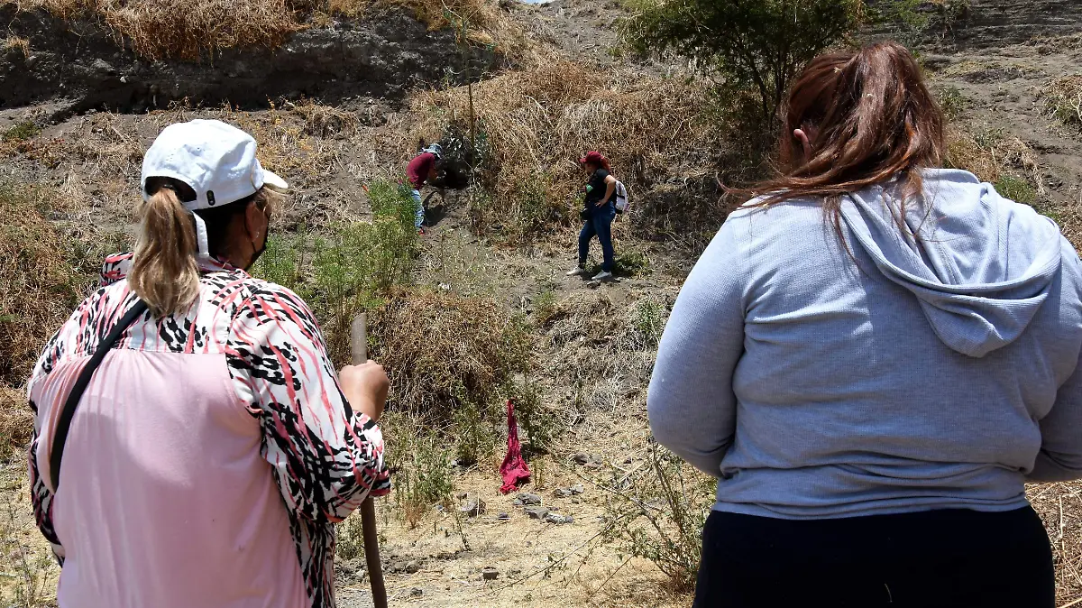 COLECTIVOS DE BUSQUEDA (3)