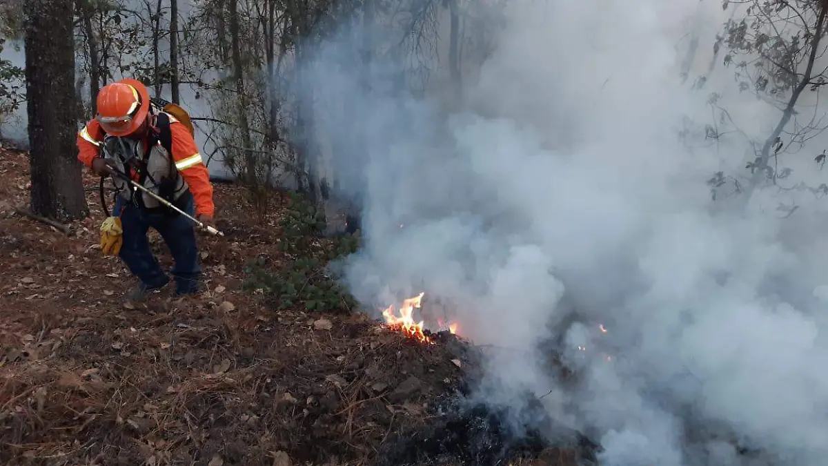 INCENDIOS