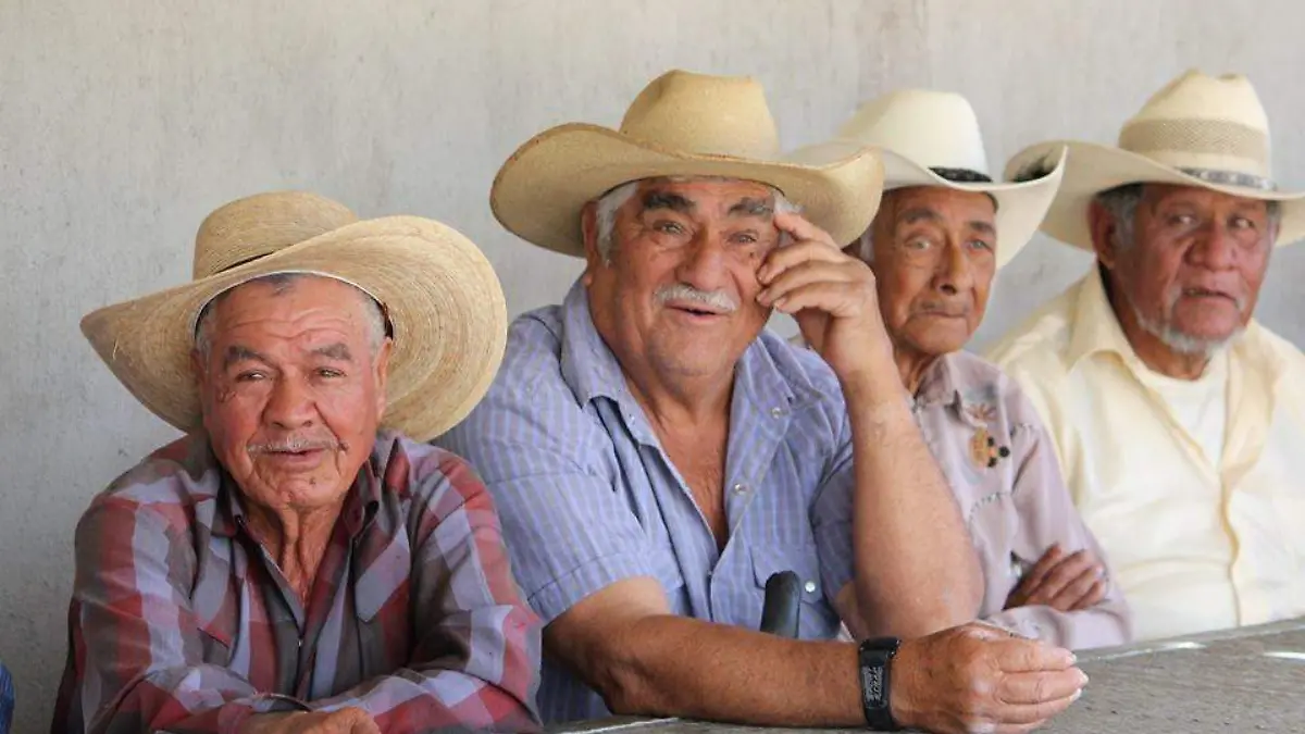 a6c4715e-a419-42b0-a609-43082e08c66e