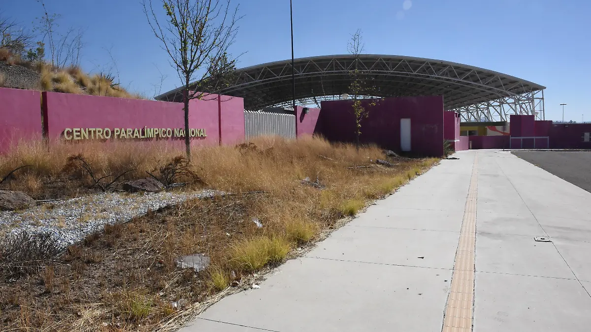 PARALÍMPICO (2)