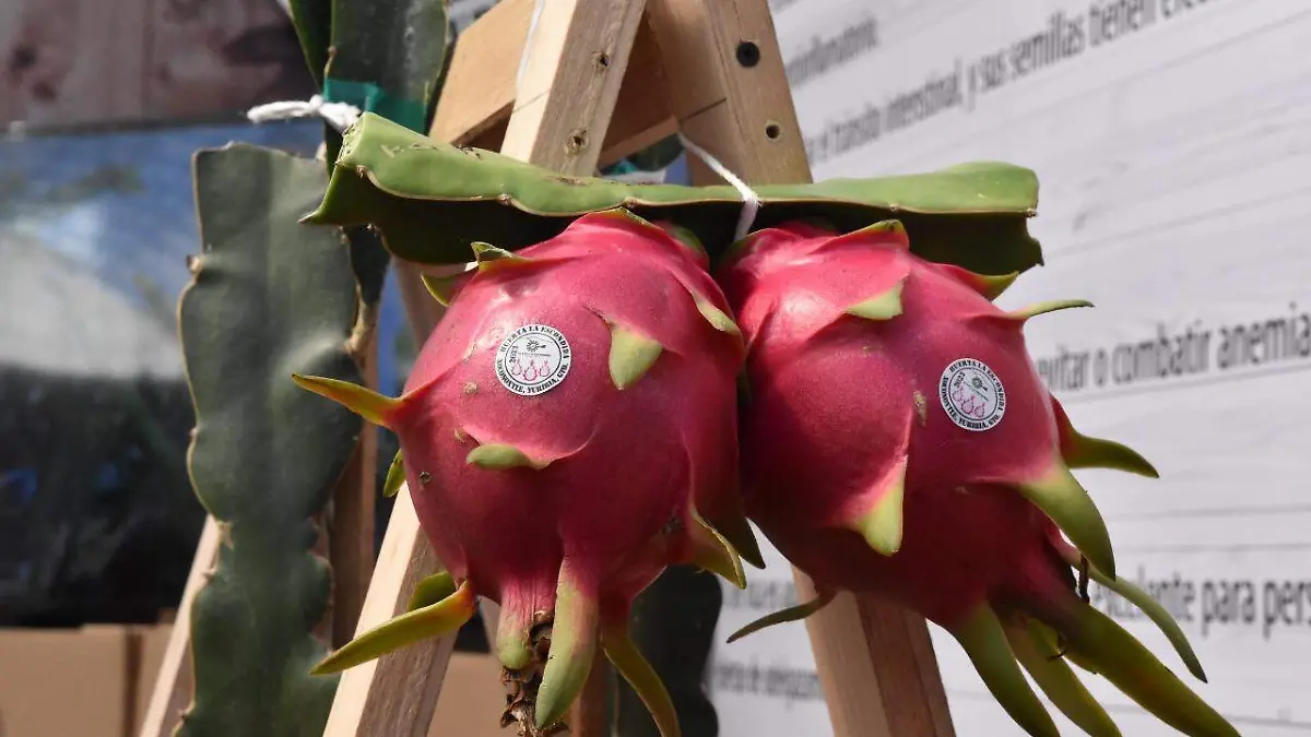 011a46c1-0c7d-4561-8868-805361c8ad03