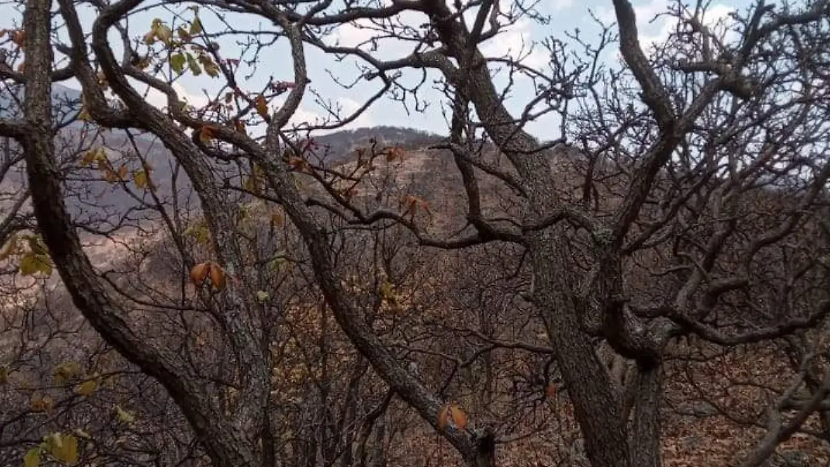 Este-jueves-seguirán