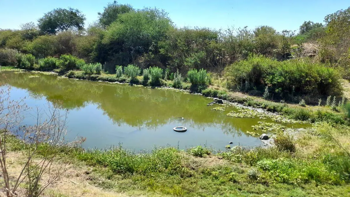 LABORES PREVENTIVAS (1)