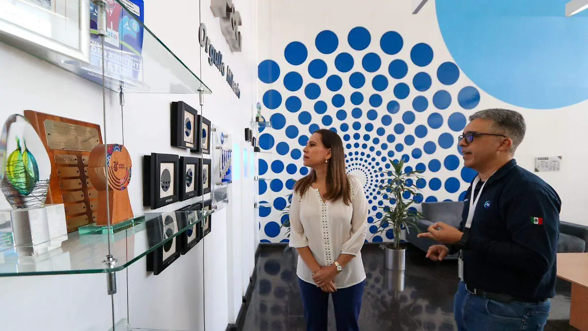 8099bdcb-277b-475b-aea3-553543761ef3