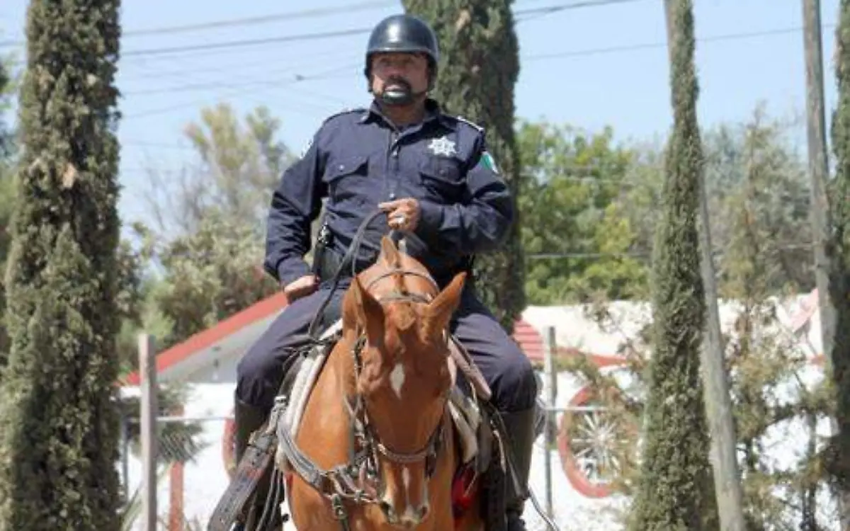 efe14940-9189-4047-ac92-7fc7b6c7d1c1