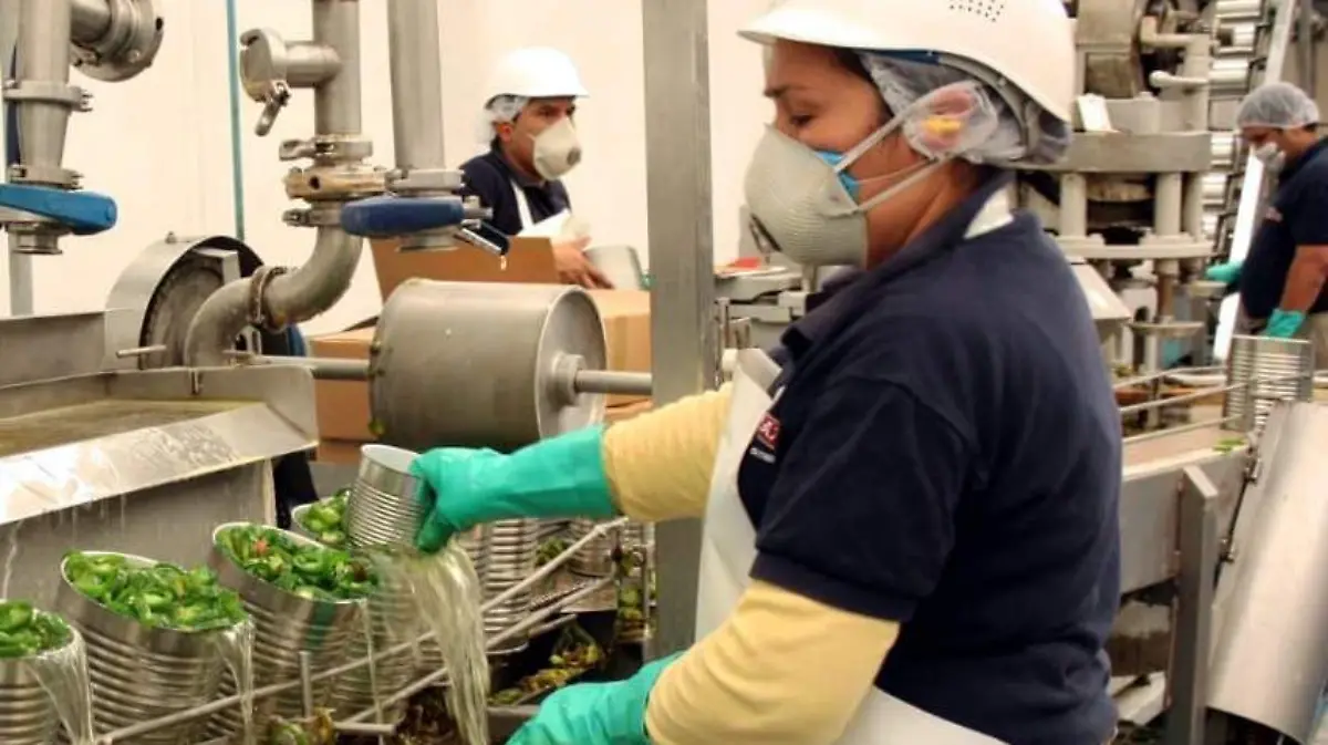 TRABAJADORES (3)
