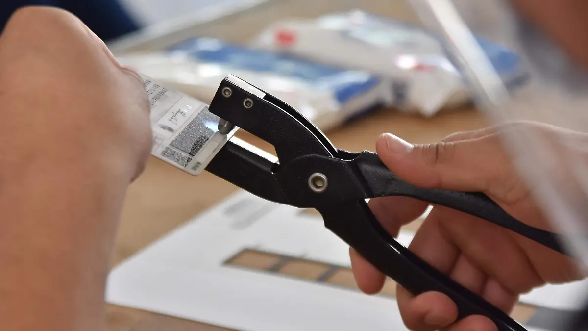 Hoy-es-la-Consulta-Popular  (1)