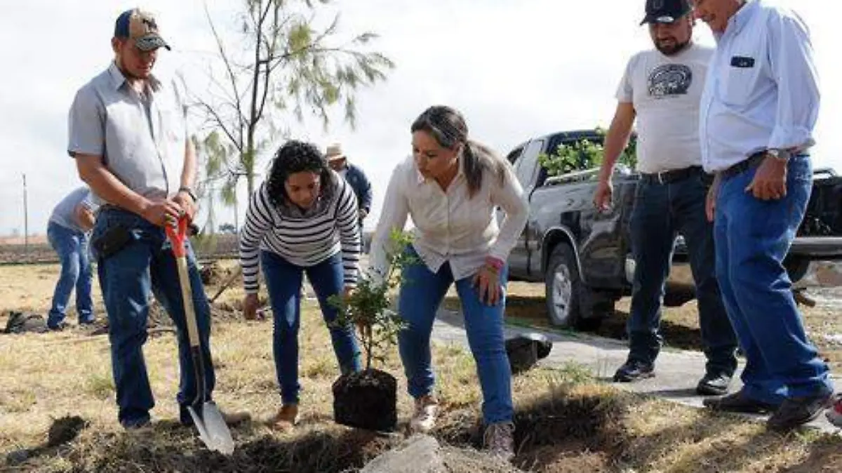 856c8725-8824-496d-8b45-15275b4cd788