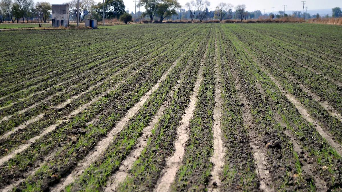 ROBO EN POZOS DE CAMPO (2)