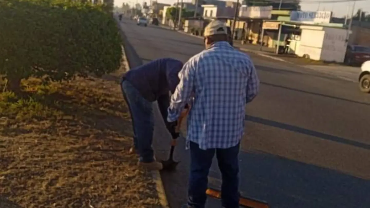 ab54a491-60dc-4e0b-bde9-3f00354da9f6