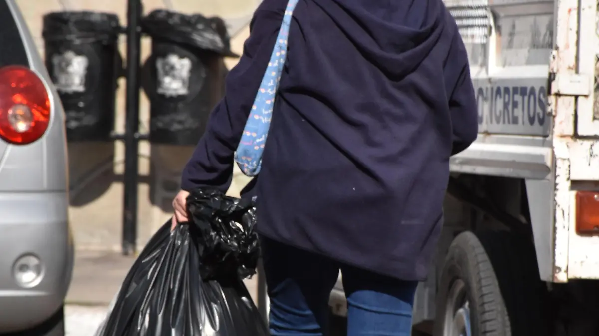 BOLSAS DE PLASTICO (1)