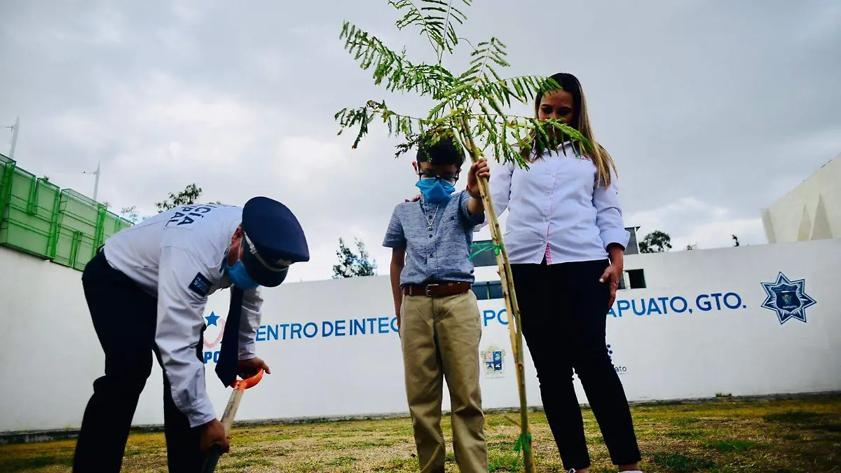 elementos-de-la-SSCI (2)