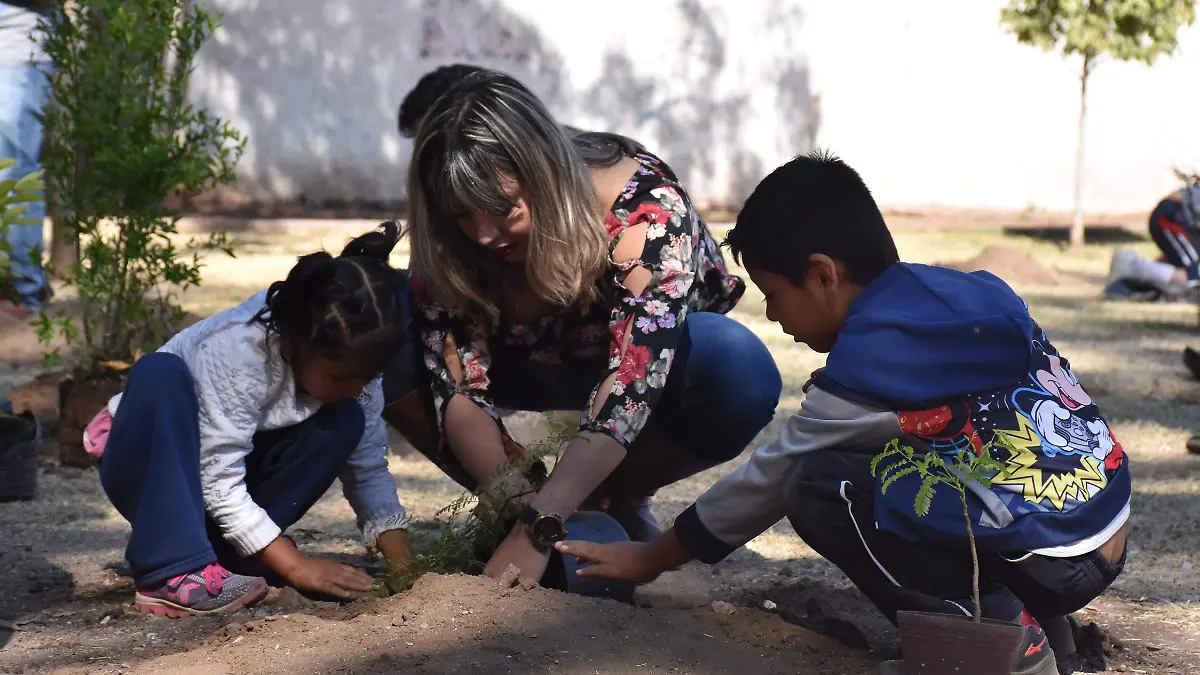 REFORESTACION DE ARBOLES