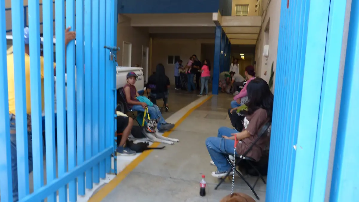 Responden-ciudadanos