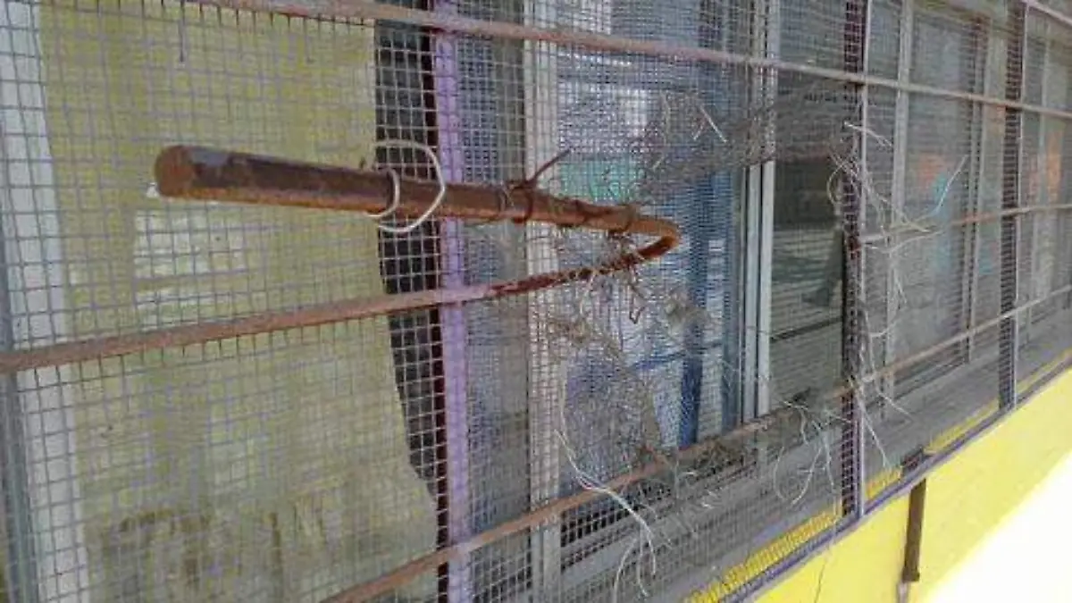 NUMEROSOS HAN SIDO OK