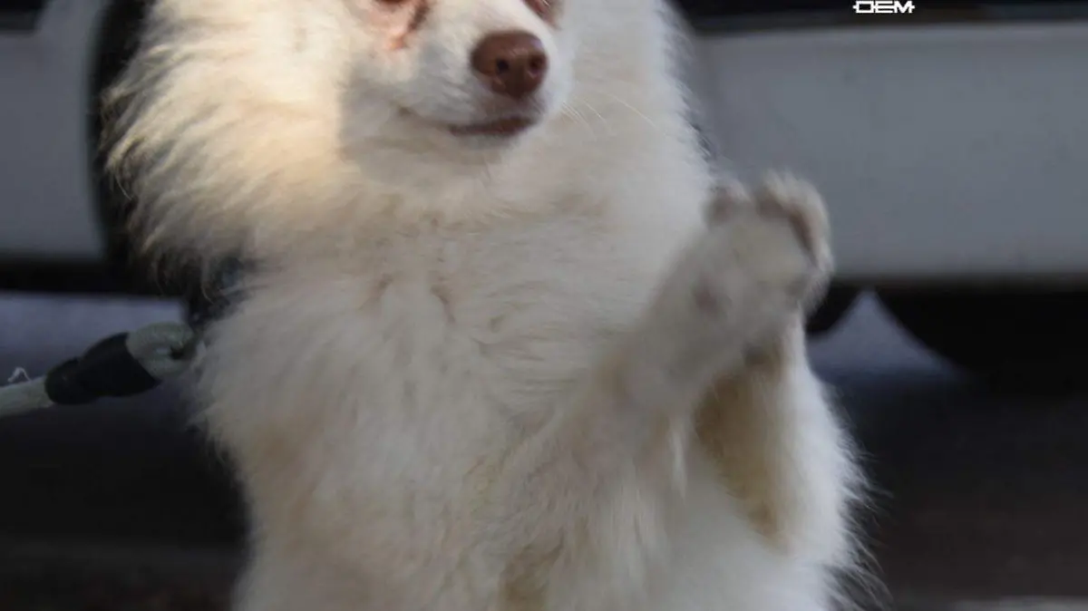 Todos-se-sumaron-2-okokok