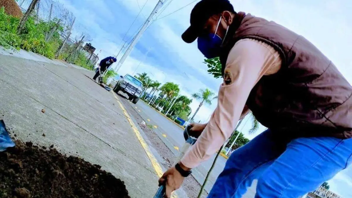 Reforestemos-Abasolo