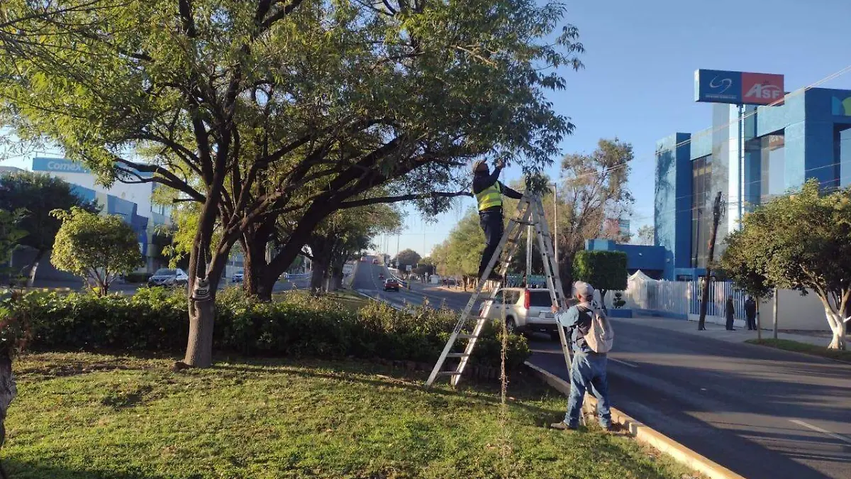 Roban-adornos-navideños