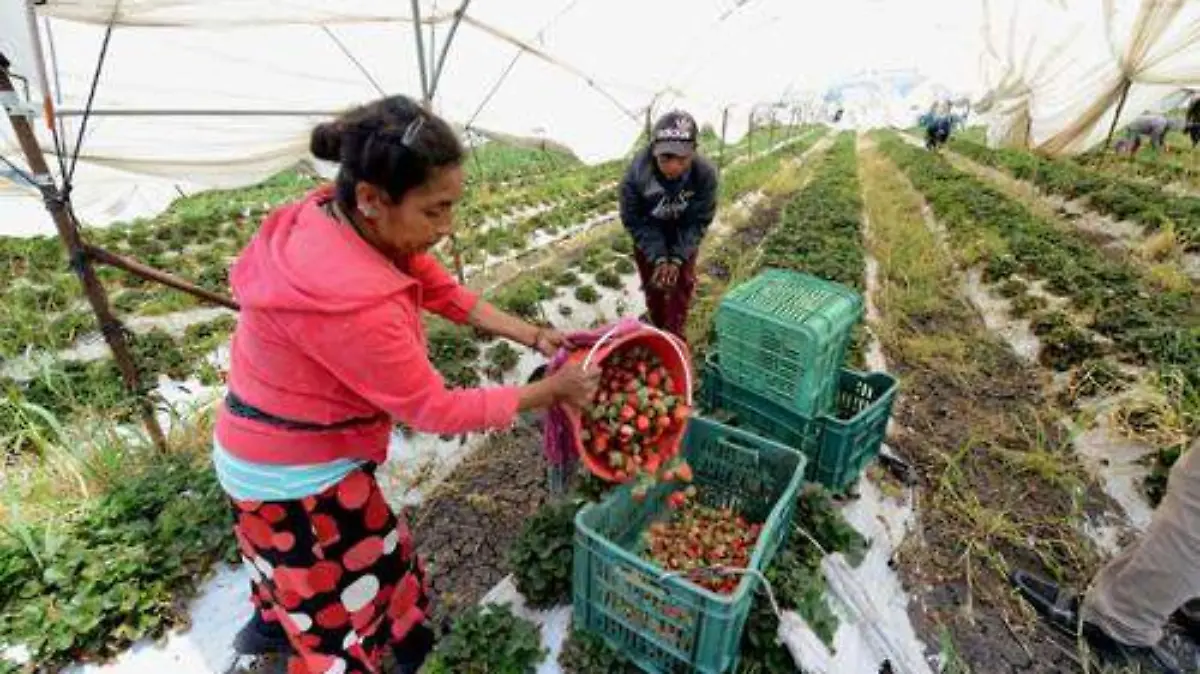 c3ec50e5-7588-4cef-9cd5-bcbb216aee8b