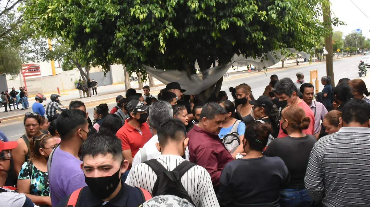 Reanudarán-de-manera-1-okokok