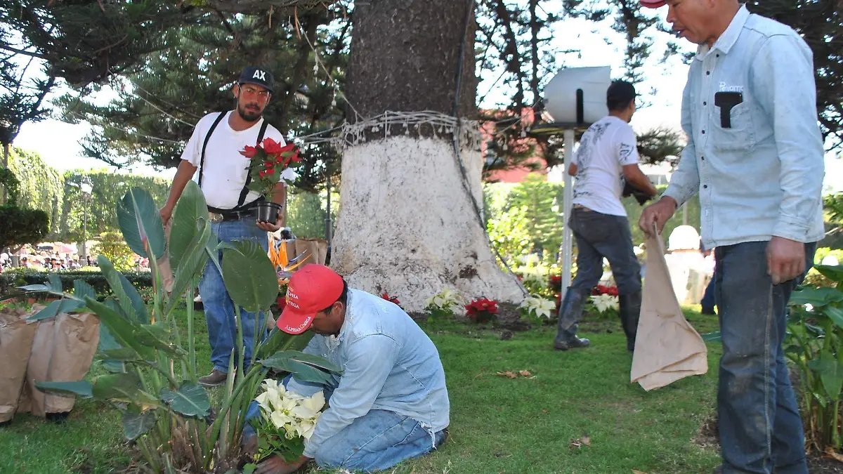SE INICIO EN EL JARDIN