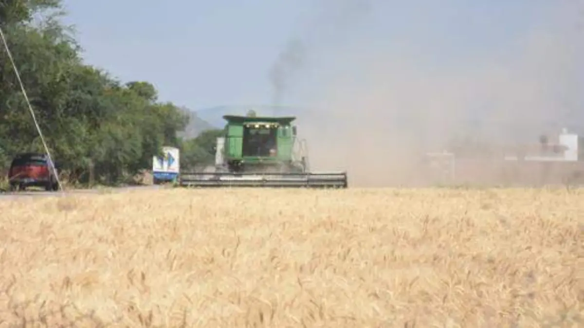 SE ENCARESEN PRODUCTOS