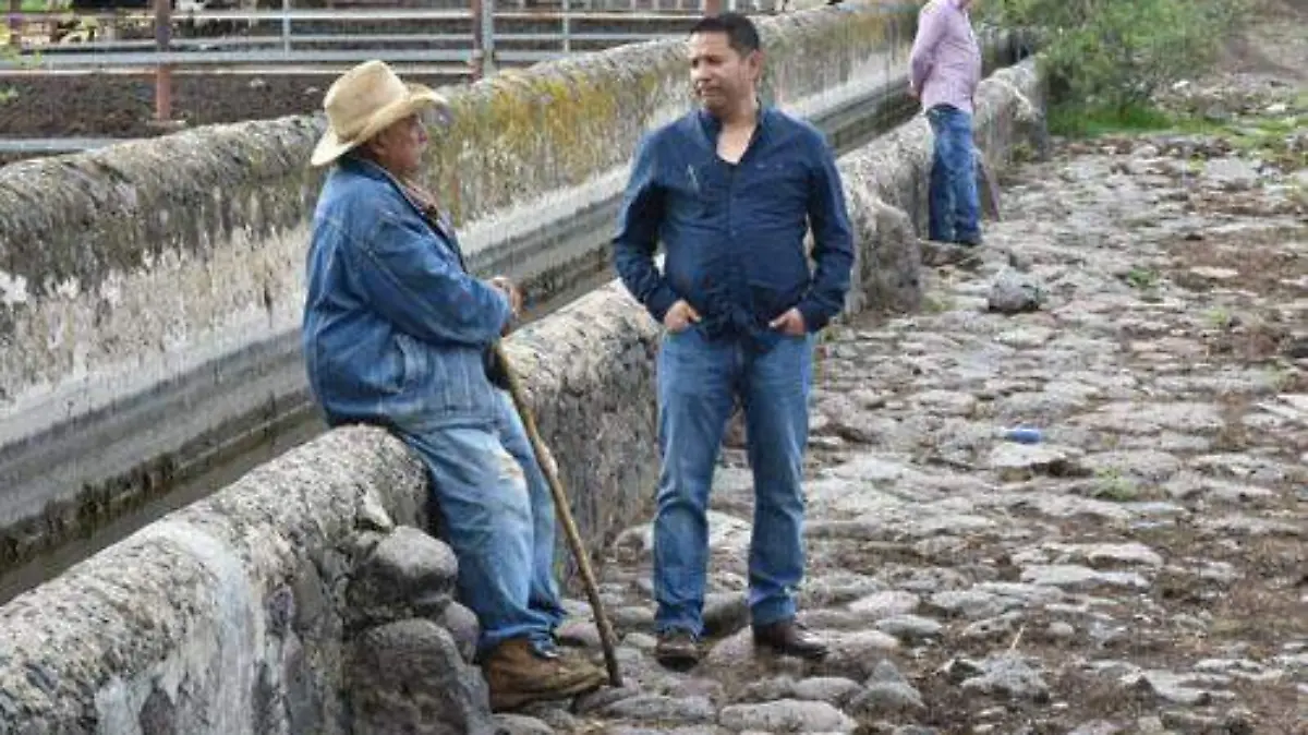 ALCALDE OK