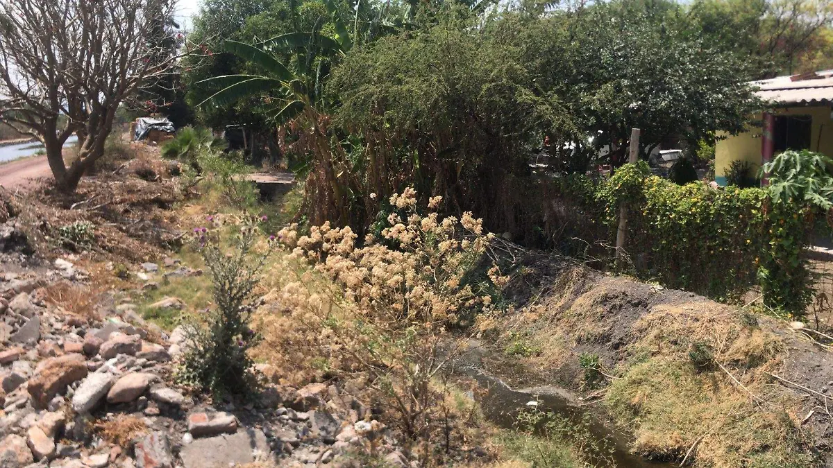 cb84c053-0702-40e7-a33c-3c2f378ff186