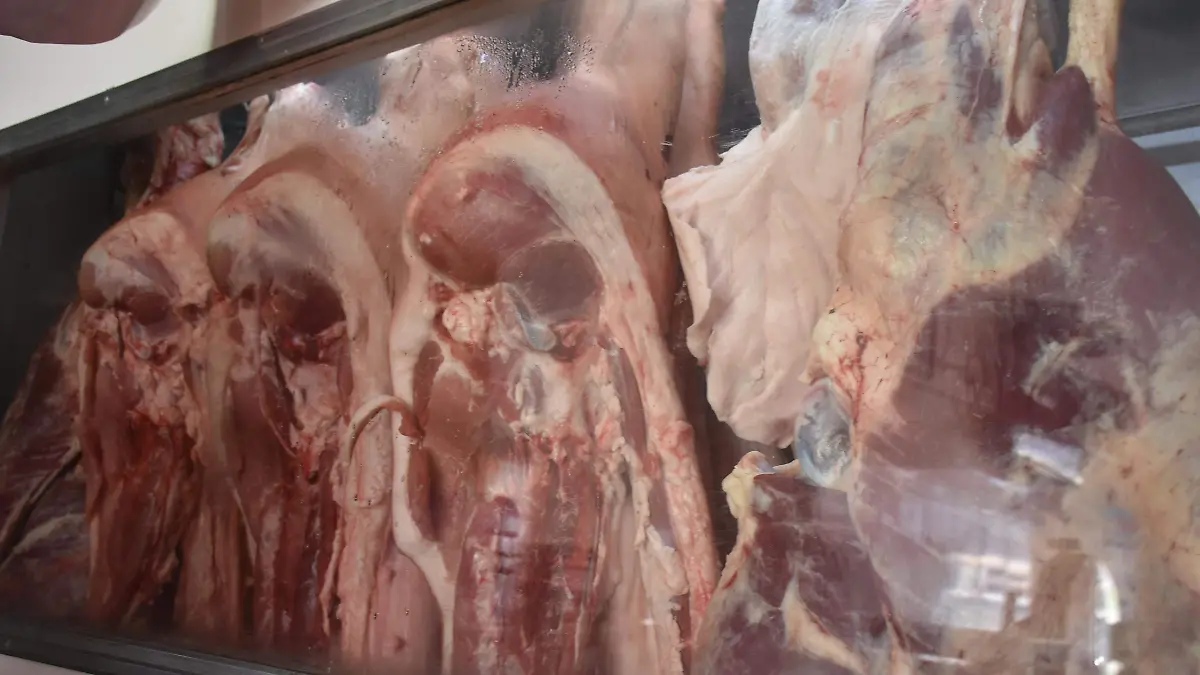 El-pasado-mes-de-diciembre