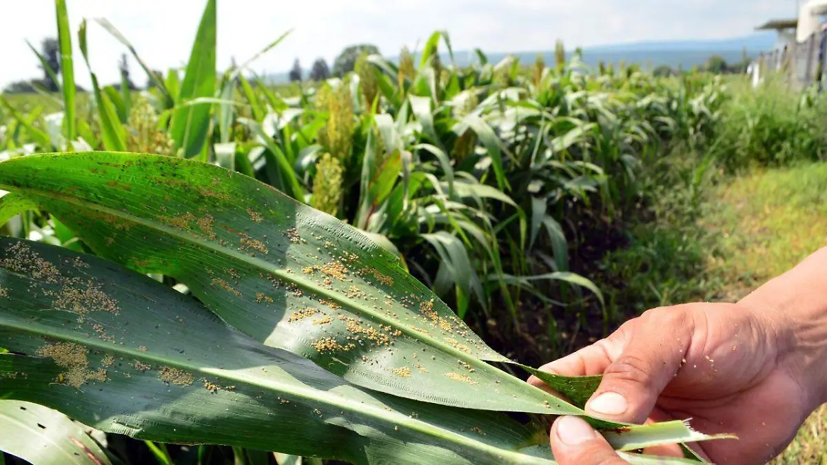 57c827e2-19bd-402e-83fa-624c12d1871e