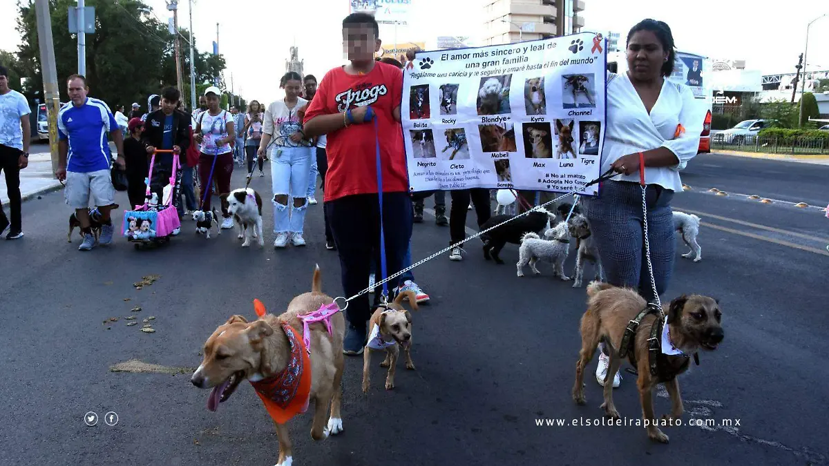 Todos-se-sumaron-1-okokok