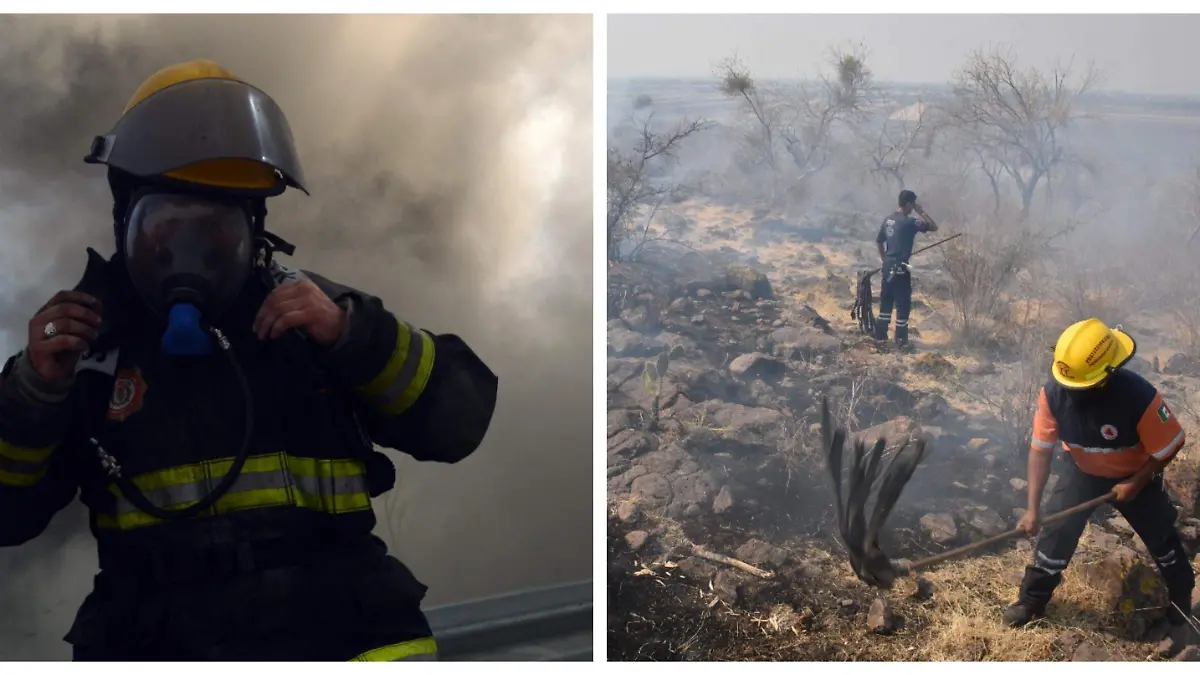 Arrasan-incendios (1)