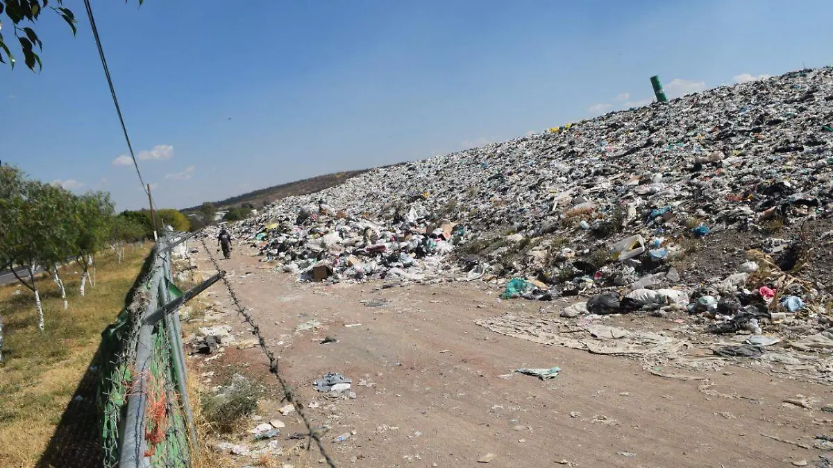 WhatsApp Image 2020-12-02 at 4.16.29 PM