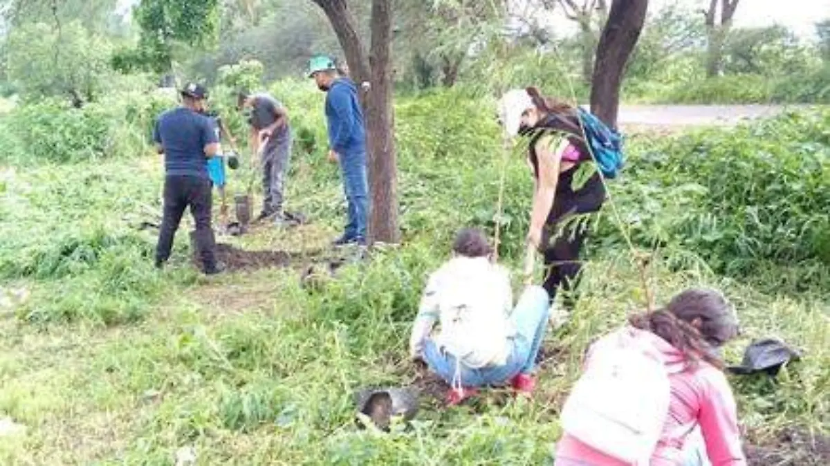 61eccb80-c0d8-486e-bf0f-095e3da52e54