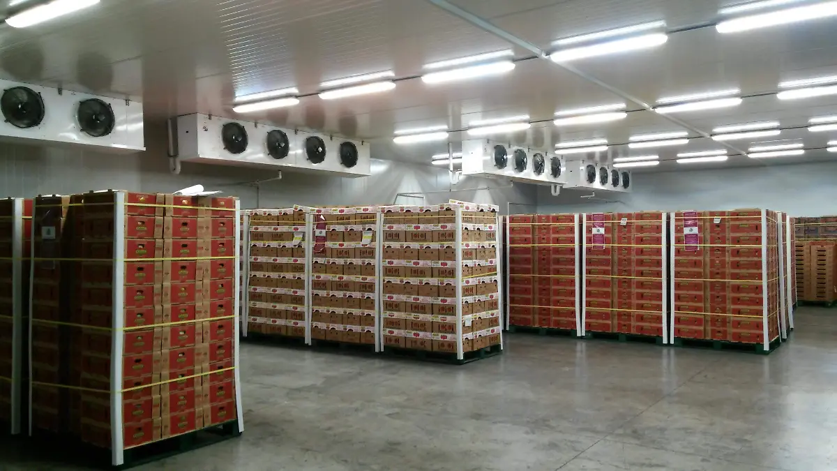 CUARTOS FRÍOS EXPORTACIÓN (2)