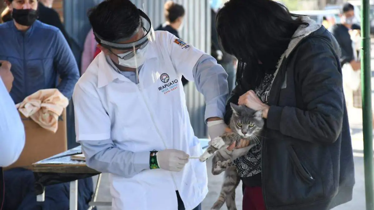 Esterilizan (3)