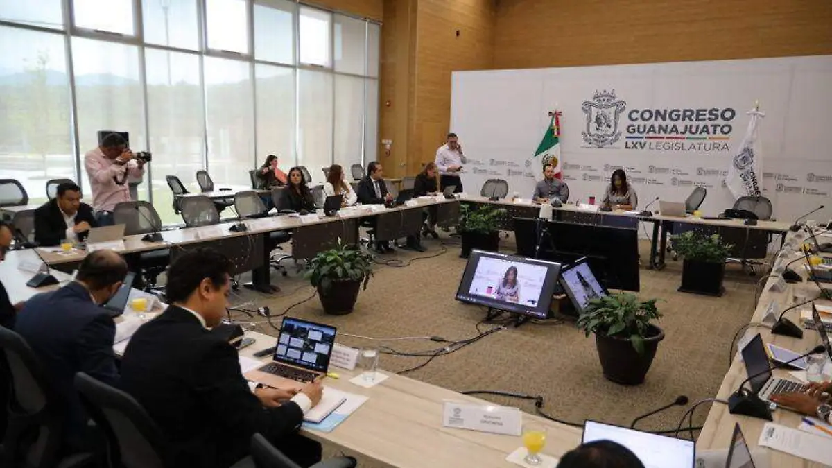 ARTICULO POR ARTICULO ANALIZARAN PROPUESTAS PARA LEY DE BUSQUEDA (1)