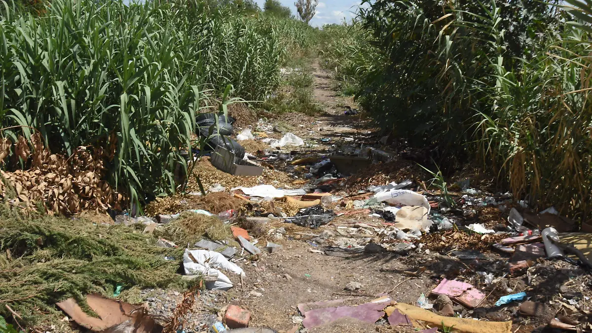 FOCO DE CONTAMINACION Y ZONA DESCIUDADA (4)