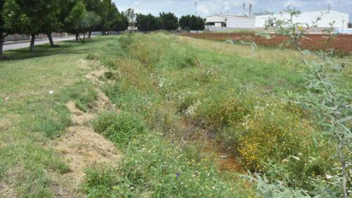 contaminacion de comunidad OK