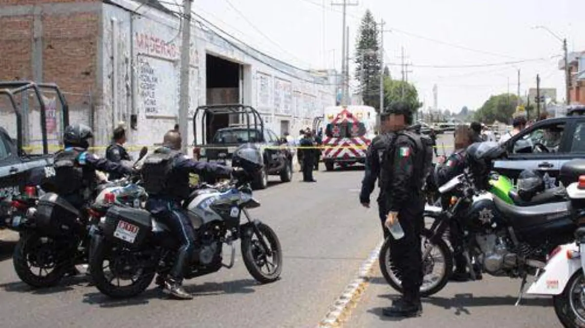 POLIS (1) OK