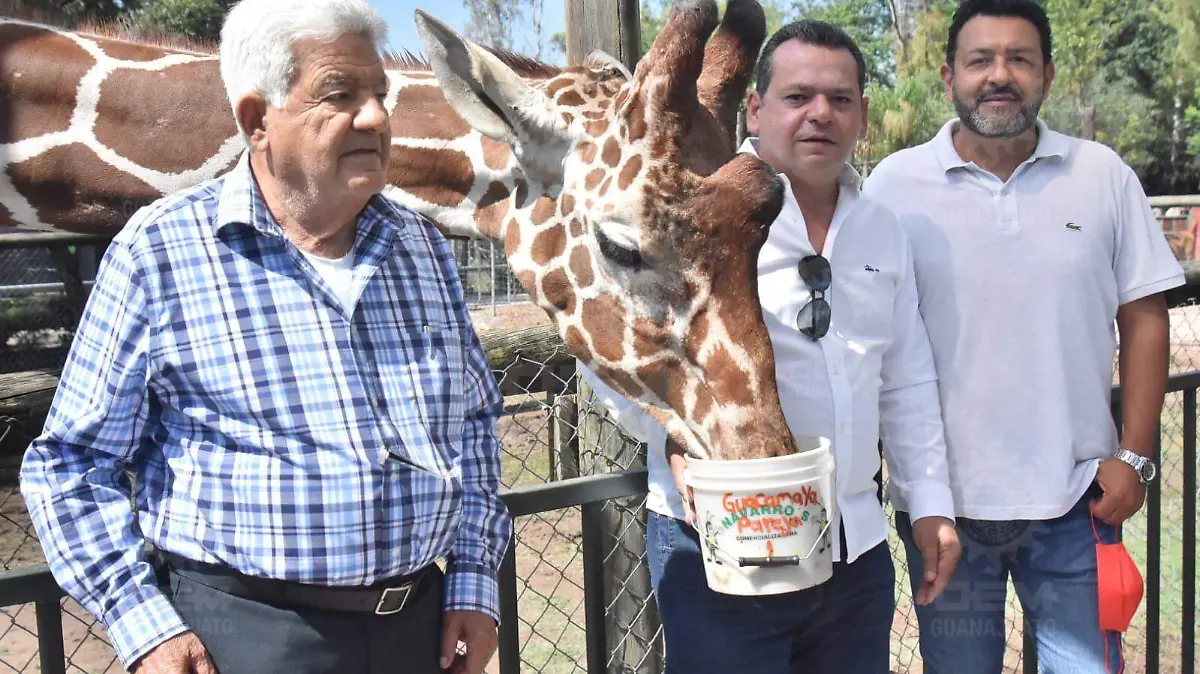 559ff025-f716-4179-b1be-f9c72041d1ea