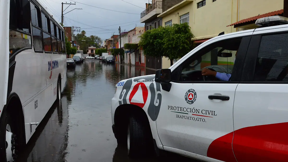 Caen-cinco-árboles (2)