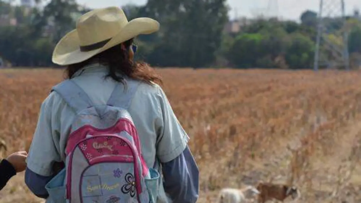 Blinda Ejército zonas huachicoleras