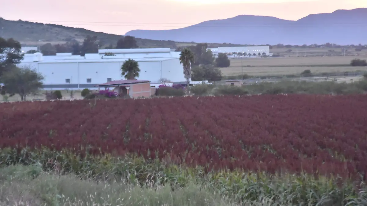 En-el-precio-de-la-luz 