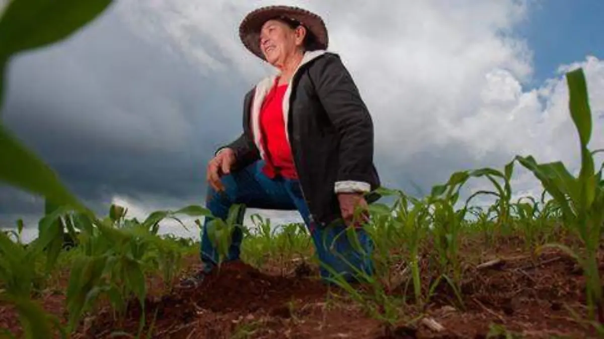 31c17738-43e4-4bd0-a446-8ae531d18254