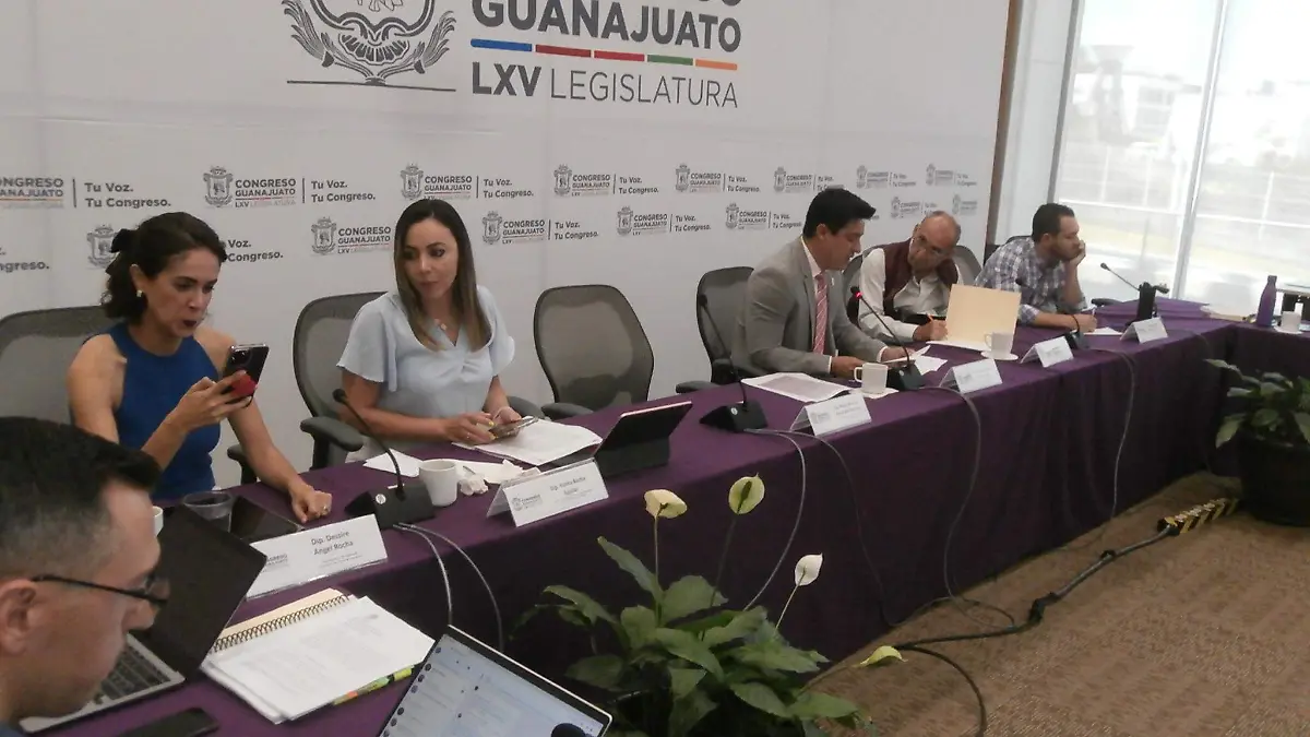 Armonizarán-Ley-3-de-3 