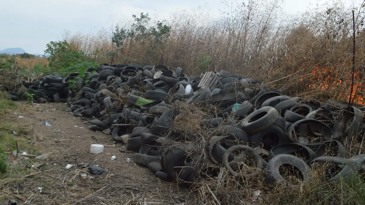 CONTAMINACIÓN GTO (6)