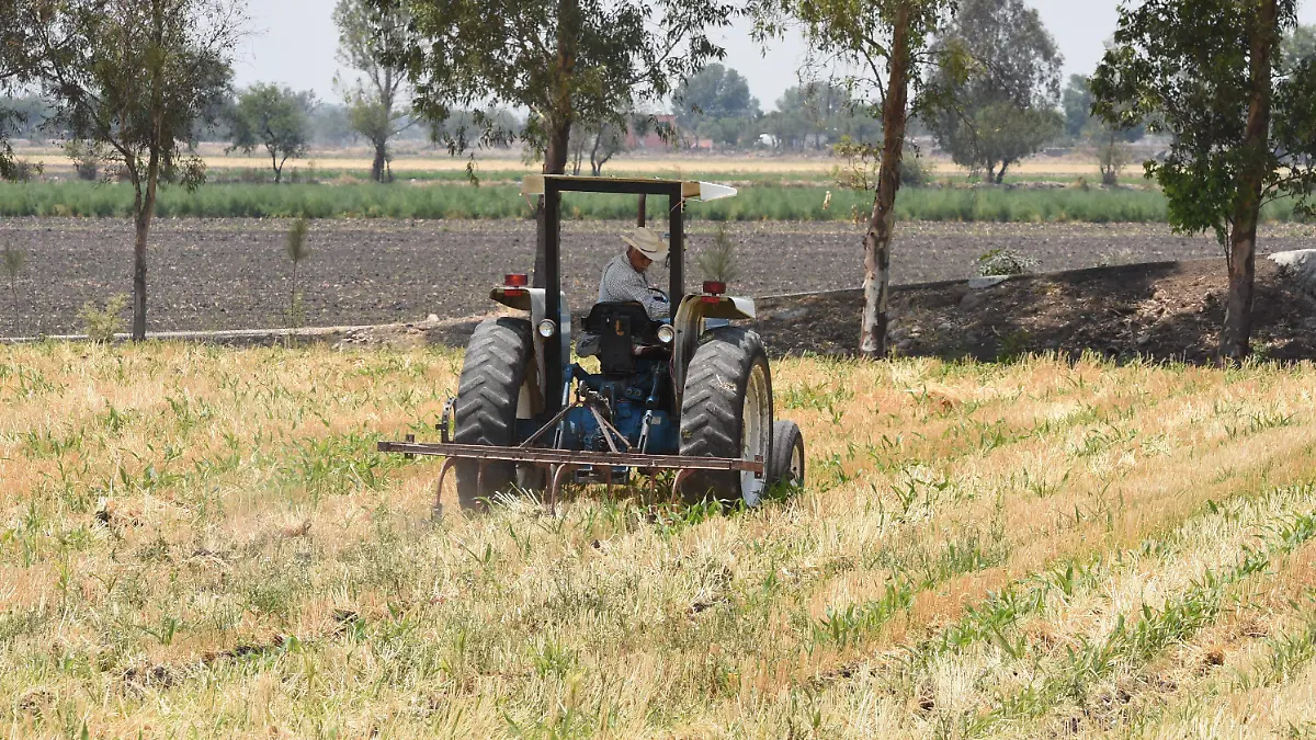 DIEGO PRESUPUESTO (2)